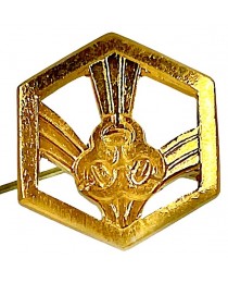 Эмблема петличная Войска РХБЗ (золотистая)