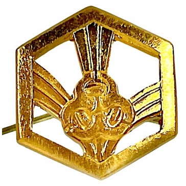 Эмблема петличная Войска РХБЗ (золотистая)
