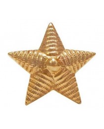 Звезда на погоны большая рифленая 20 мм  золотистая 