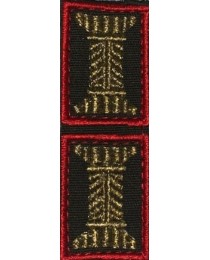 Петличные эмблемы (катушки) Сухопутных Войск офицерские оливковые красный кант на липучке (уставные)